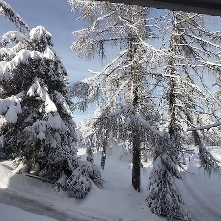 Trento, Monte Bondone, Casa Tipica Di Montagna Appartement Norge Buitenkant foto
