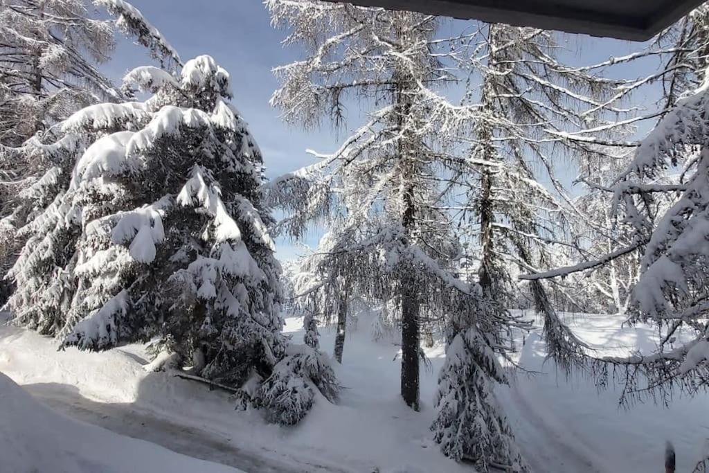 Trento, Monte Bondone, Casa Tipica Di Montagna Appartement Norge Buitenkant foto