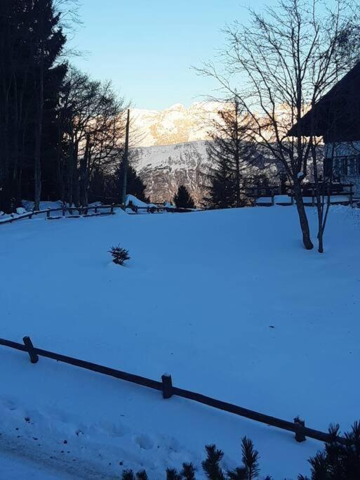 Trento, Monte Bondone, Casa Tipica Di Montagna Appartement Norge Buitenkant foto